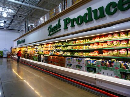 Professional & commercial equipment & supplies merchant wholesalers